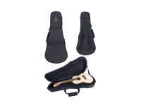 APC Gig Bag mod. ECAV BR Brasileiro APC Gig Bag mod. ECAV BR Brasileiro